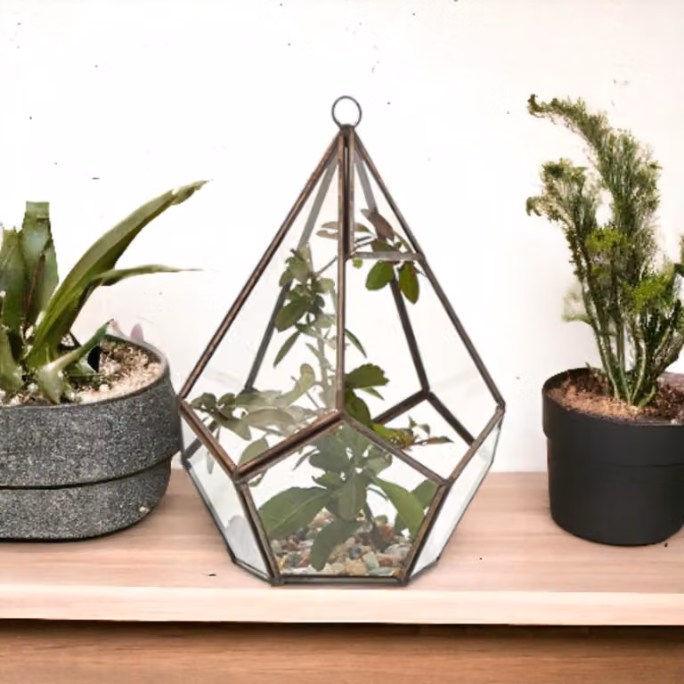 Ancient Wisdom hangend glazen terrarium groot pentagonmodel